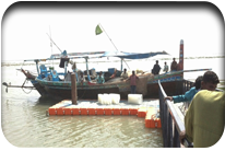 Goth Abu Jat - Keti Bandar - Thatta